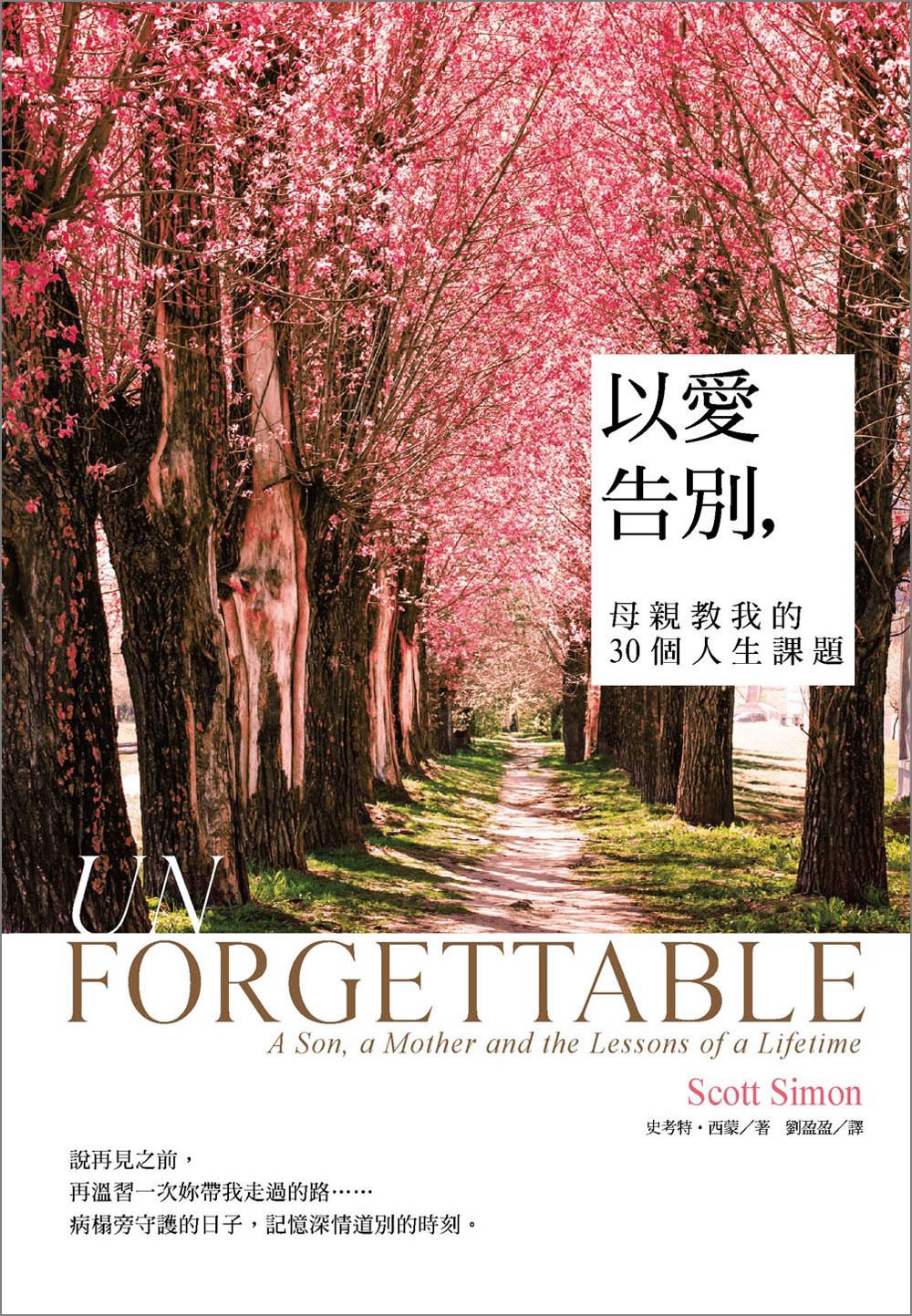 以愛告別  Unforgettable